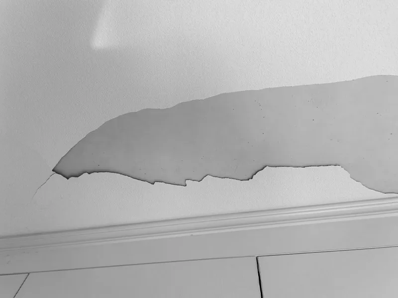 celix HPMC to Fix It.jpg