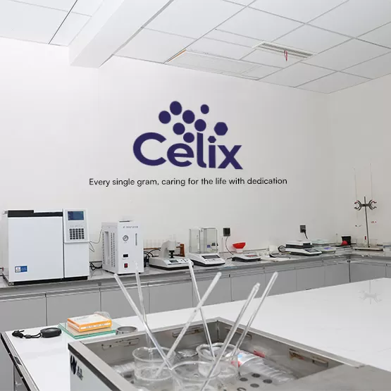Технический эксперт Celix Cellulose проверяет данные партии по сертификату анализа (COA) для экспорта ГПМЦ