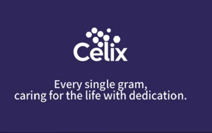 Почему глобальные строительные проекты доверяют Celix